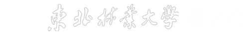世界杯官方网站